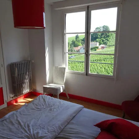 Maison 3 Chambres Au Coeur Des Vignes Apartment