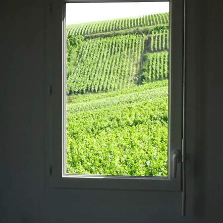 Maison 3 Chambres Au Coeur Des Vignes Apartment *
